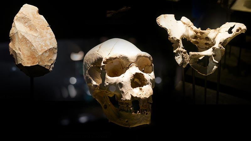 Atapuerca Patrimonio de la Humanidad