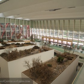 Museo de la evolución humana