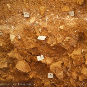 Huesos en Atapuerca