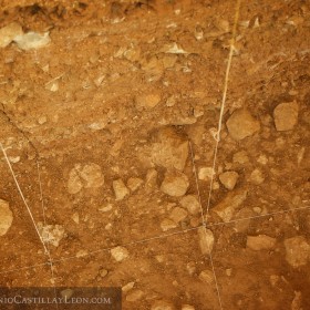 Excavaciones en Atapuerca