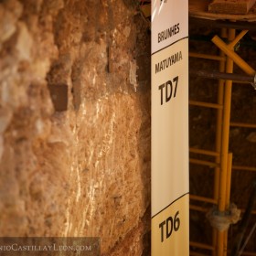 Excavaciones en Atapuerca