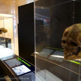 Museo de la evolución humana
