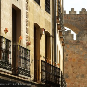 Balcones