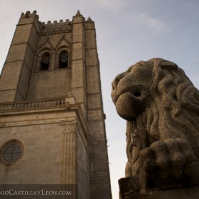 León