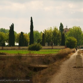 Camino de Santiago