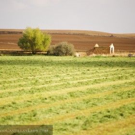 Pasisajes del Camino