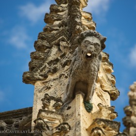 Detalle de la catedral