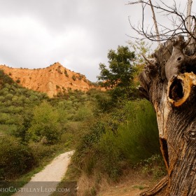 Camino por las Médulas