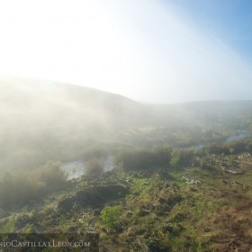 La niebla